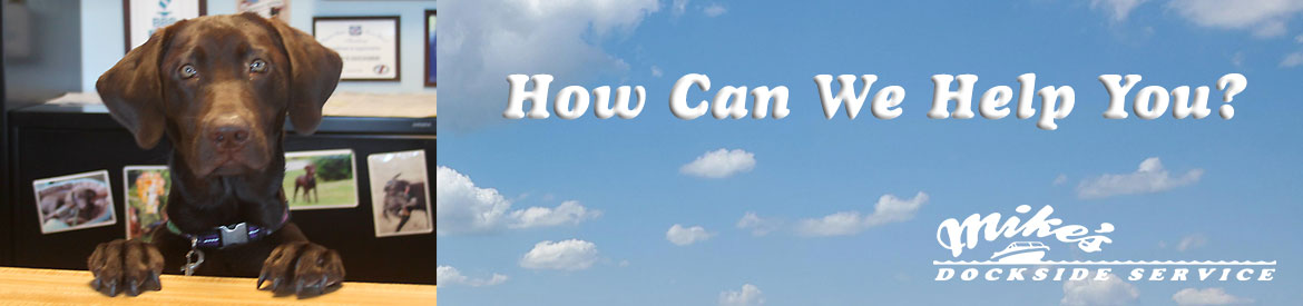 Dog at boat parts counter banner