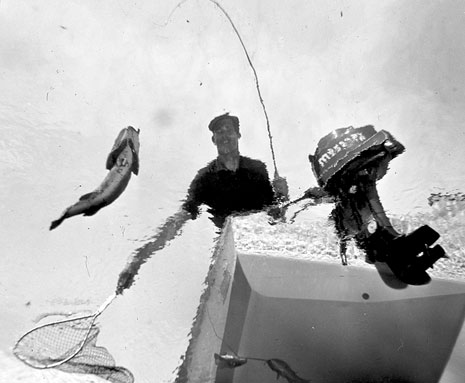 unwaterwater pic of catching fish